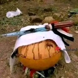 TRADITIONAL HEALER [+27672740459]] ╬ SANGOMA TO BRING BACK LOST LOVE SPELLS CASTER, The Most Powerful Black Magic Voodoo Spells Caster In Toronto, Joh