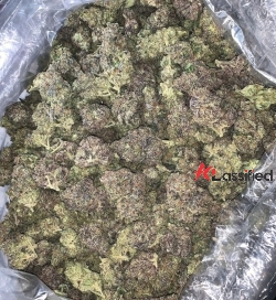Telegram @strtplugg Where to buy Weed in Dubai 