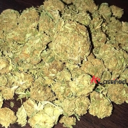 Buy Weed In Dubai telegram @greenplug420
