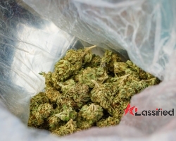 online +49 15783350220 Dubai QUALITY WEED, COCAINE, IN QATAR, KUWAIT, SAUDI ARABI ...